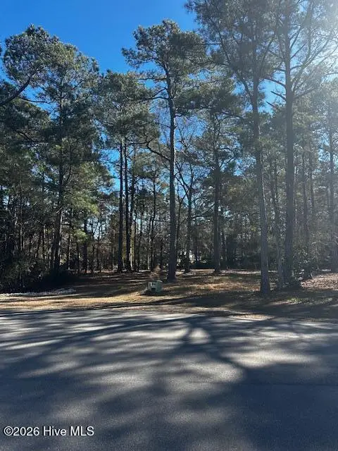 137 Eagle Court Sw, Supply, NC 28462 - Image #2