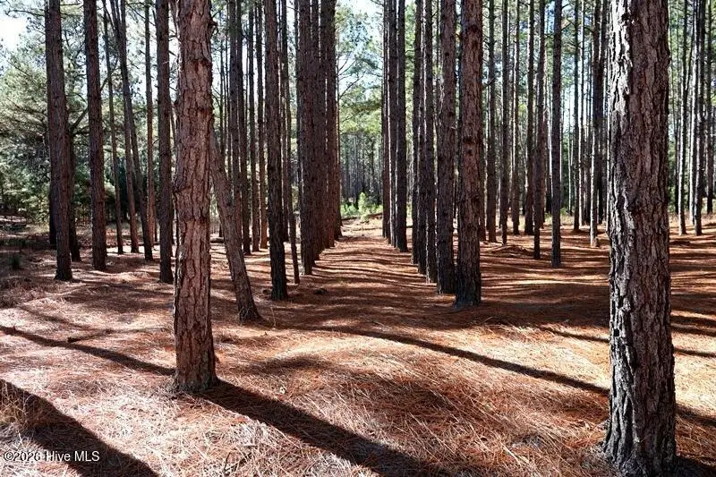 Tbd Nc Hwy 130 Road, Fairmont, NC 28340 - #3