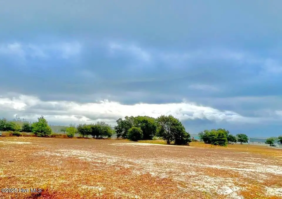 6 Oak View Lane, Hampstead, NC 28443 - #1