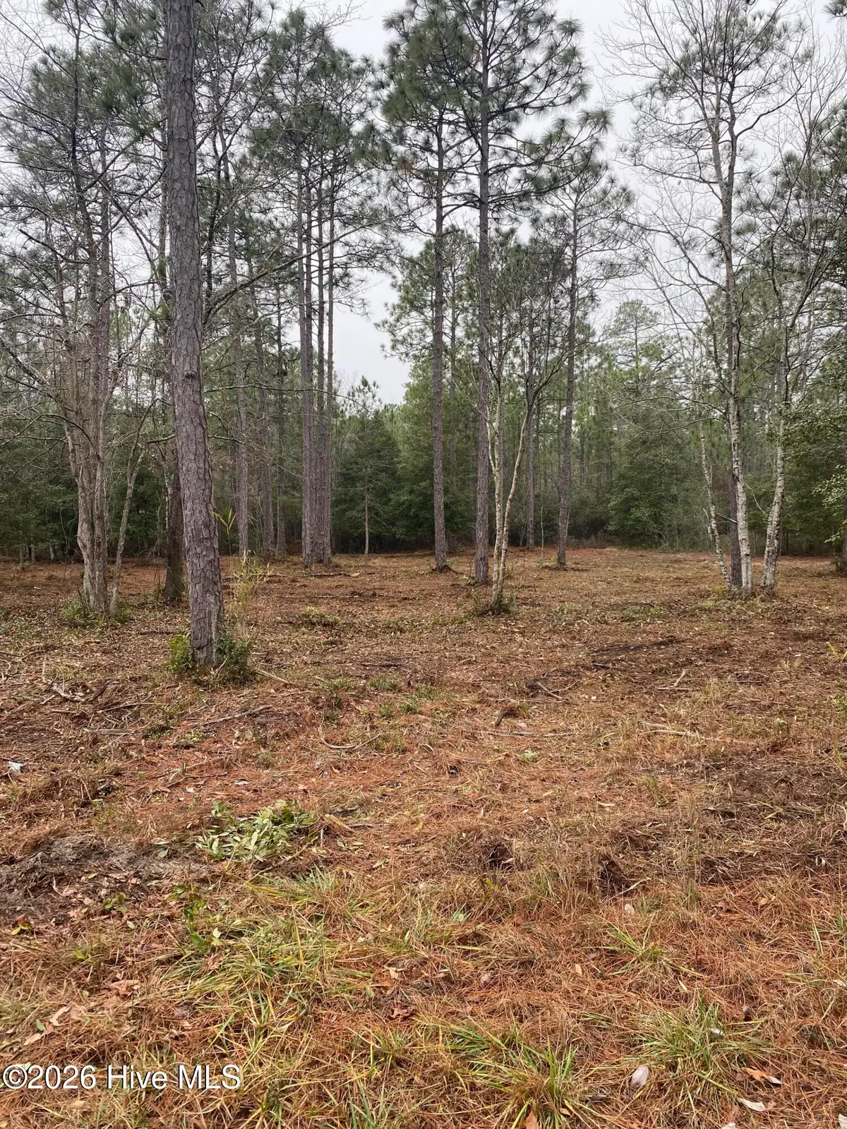 Lot 32-33 Ash Road, Boiling Spring Lakes, NC 28461 - Image #1