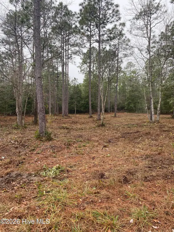 Lot 32-33 Ash Road, Boiling Spring Lakes, NC 28461