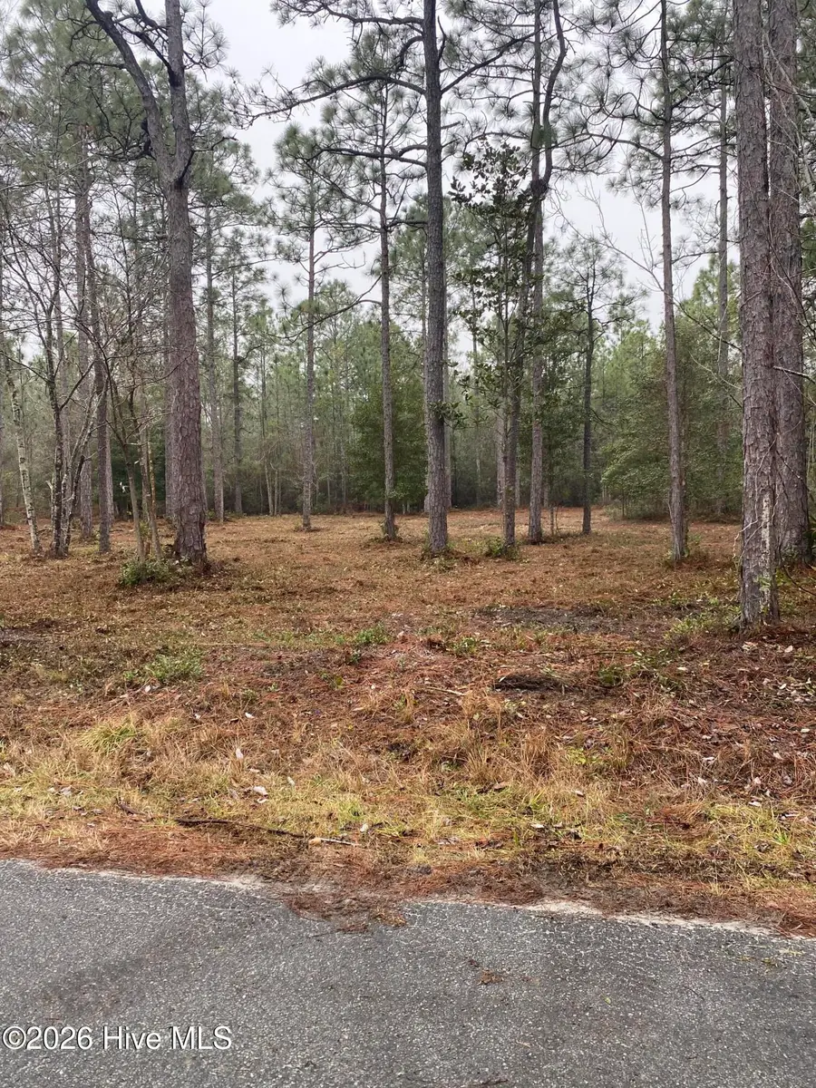 Lot 32-33 Ash Road, Boiling Spring Lakes, NC 28461 - Image #2