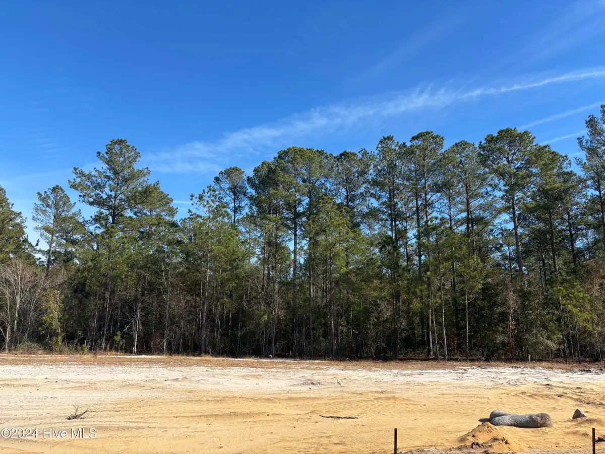 2983 W Timber Crest Drive Ne, Leland, NC 28451 - Image #1