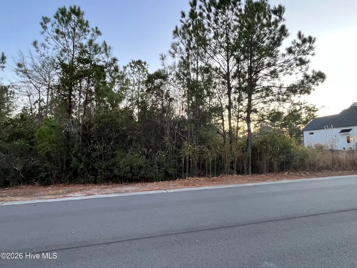 2961 Old Berwick Street Sw, Shallotte, NC 28470 - Image #1