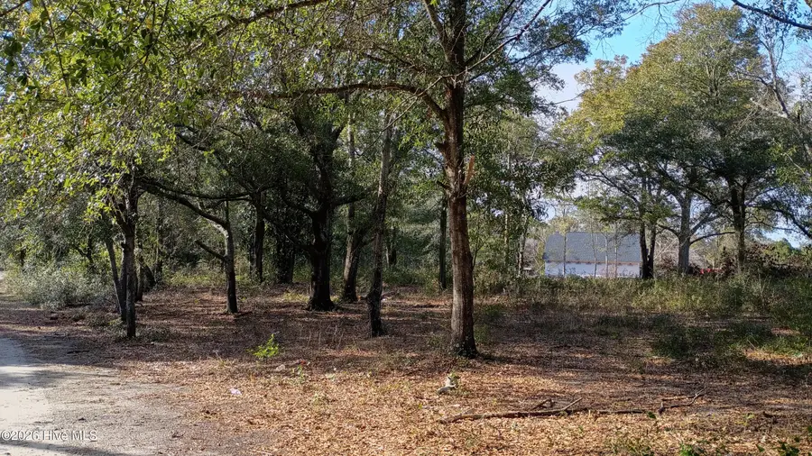 203 Flemington Road, Wilmington, NC 28401 - Image #3