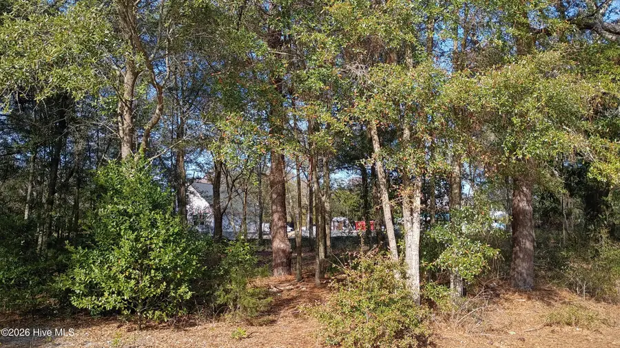 217 Clinton Street, Wilmington, NC 28401 - Image #3