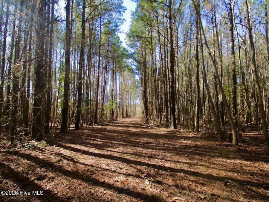 0 Knobbs Creek Drive, Elizabeth City, NC 27909 - #2