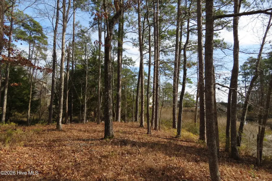 280 Winding Creek Drive, Oriental, NC 28571 - #2