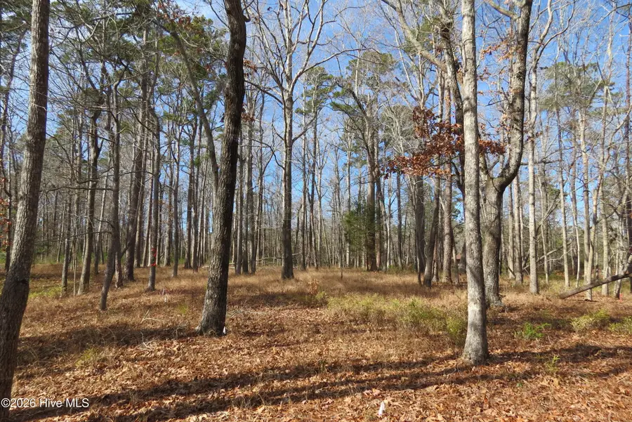 280 Winding Creek Drive, Oriental, NC 28571 - #3