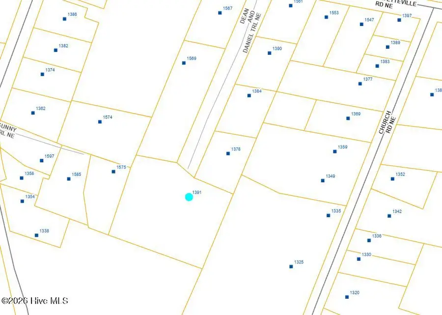 1391 Dean And Daniel Trail Ne, Leland, NC 28451 - #3
