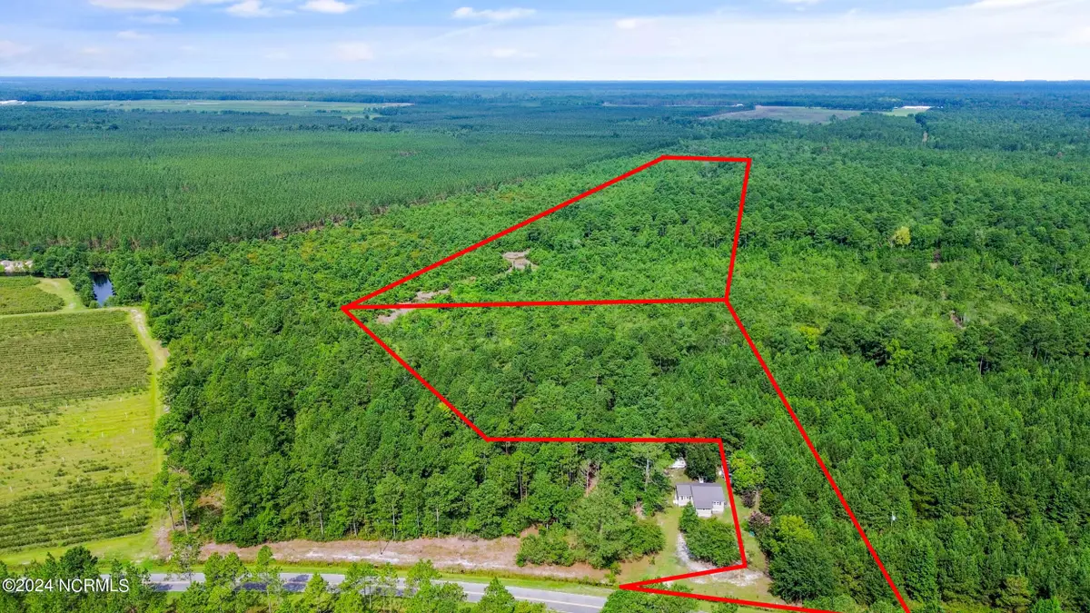 1 Lizzie Henry Road, Ivanhoe, NC 28447 - #1