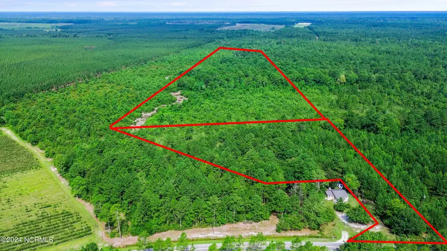 1 Lizzie Henry Road, Ivanhoe, NC 28447 - #2