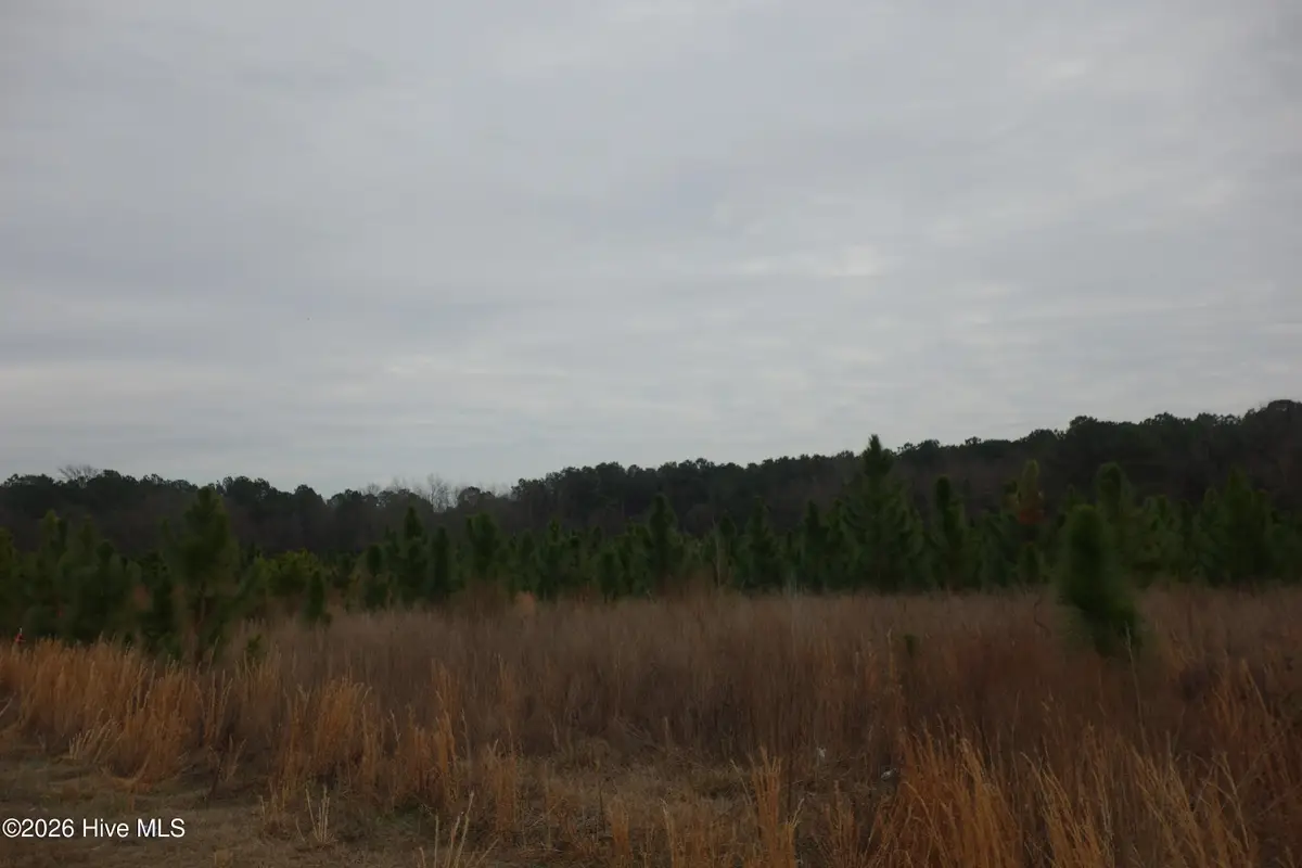 Lot 32 Stuarts Mill Road, Fairmont, NC 28340 - #1