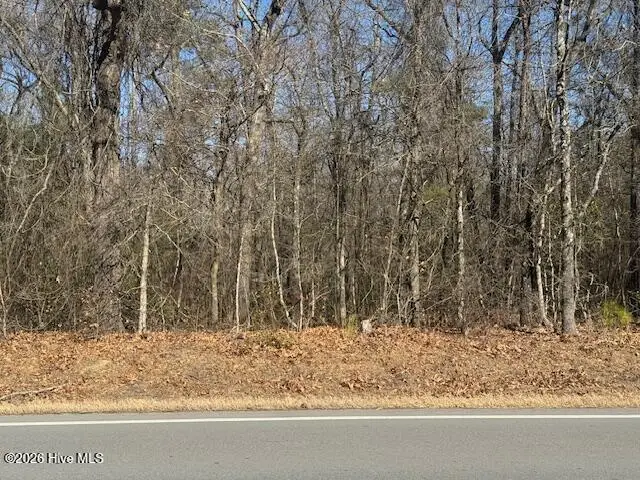 5468 River Road, Vanceboro, NC 28586 - #1