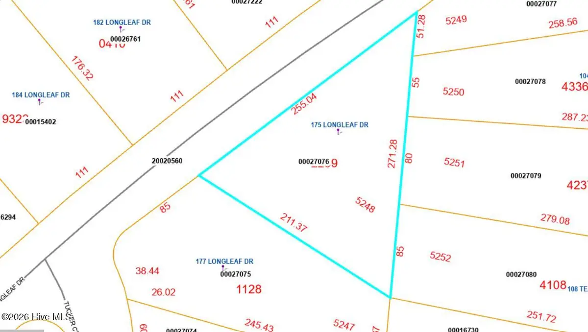 175 Longleaf Drive, West End, NC 27376 - #1