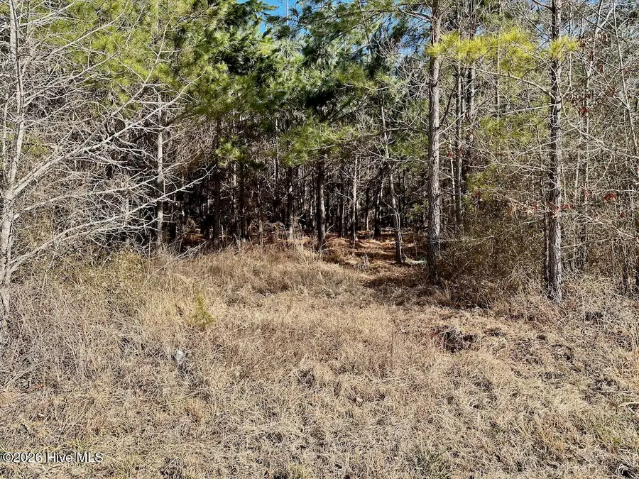 346 Menola Saint Johns Road, Ahoskie, NC 27910 - Image #2