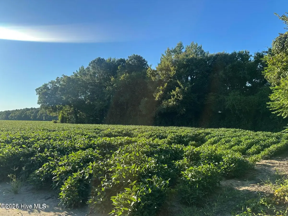 0 Creech Road, Lucama, NC 27851 - #1
