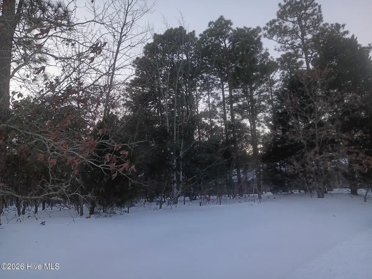 105 Steeplechase Way, Southern Pines, NC 28387 - Image #1