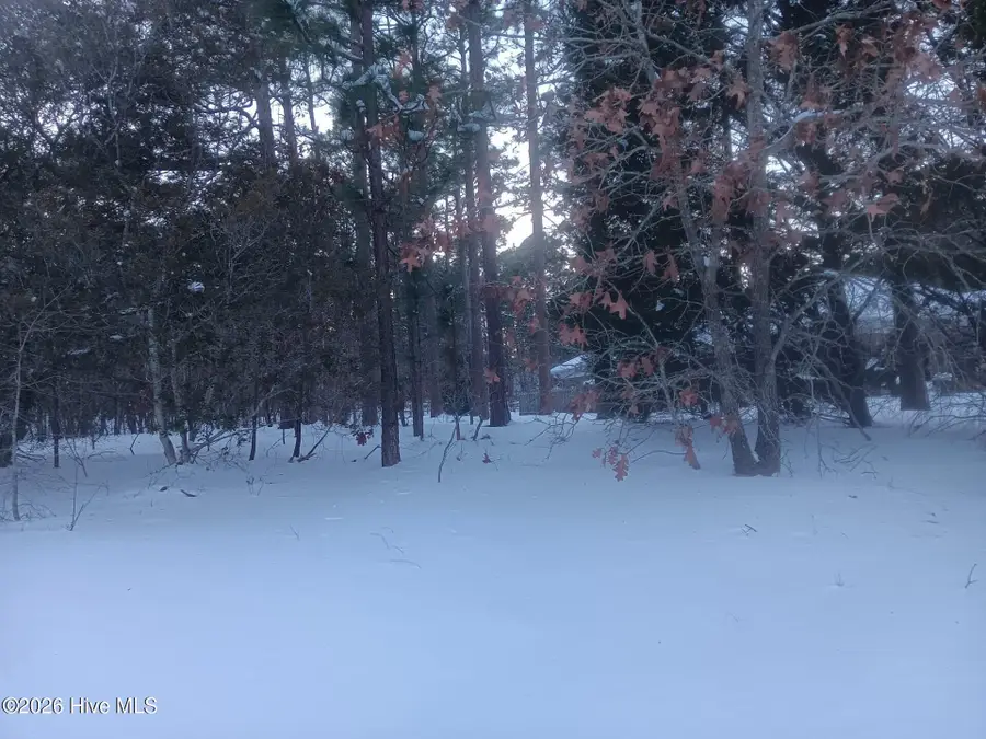 105 Steeplechase Way, Southern Pines, NC 28387 - Image #2