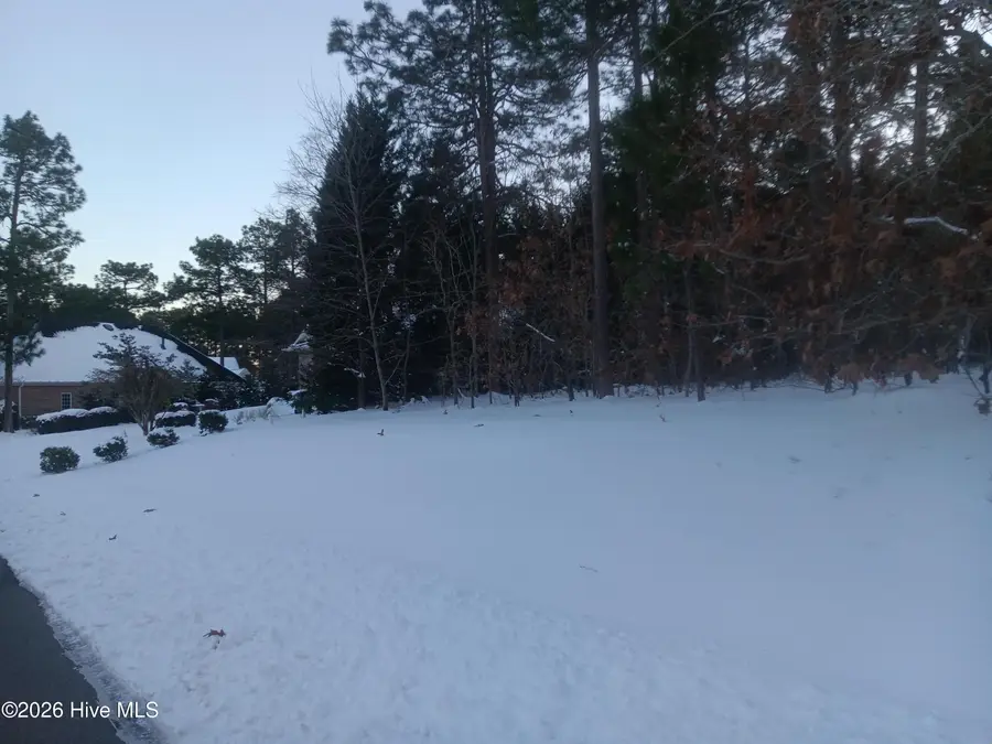 105 Steeplechase Way, Southern Pines, NC 28387 - Image #3