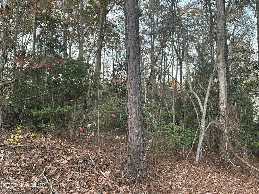 204 Lakeview Drive, Whispering Pines, NC 28327 - #3