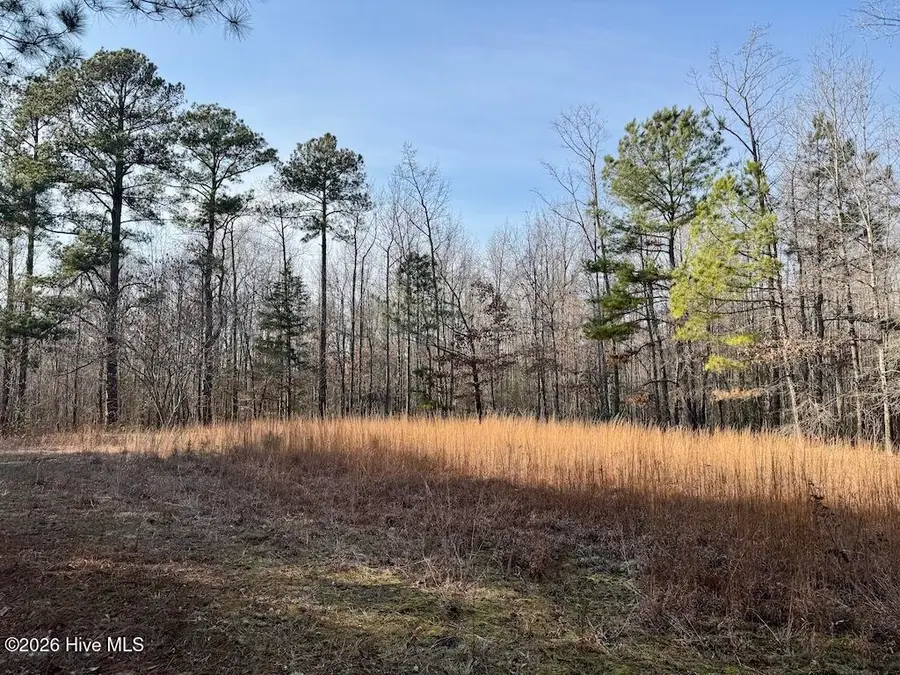 0 Nc-308, Rich Square, NC 27869 - Image #2