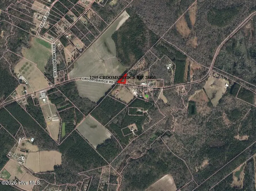 1205 Croomsbridge Road, Burgaw, NC 28425 - #2
