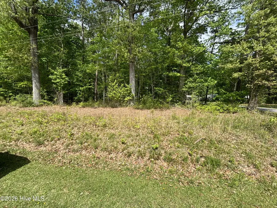 94f Shady & Tranquility Lane, Hertford, NC 27944 - #2