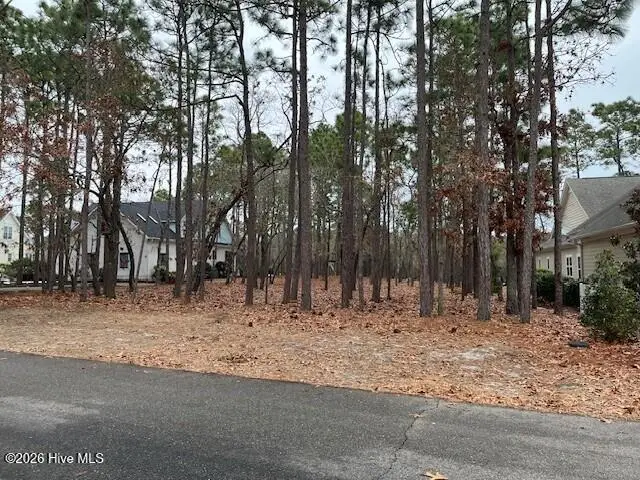 2946 Irwin Drive Se, Southport, NC 28461 - Image #3