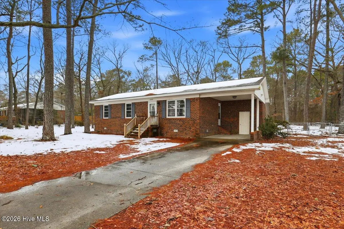 605 Firetower Road, La Grange, NC 28551 - #1