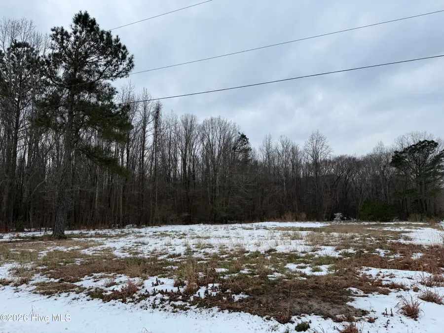 Lot 20 Beasley Road, Roper, NC 27970 - #2