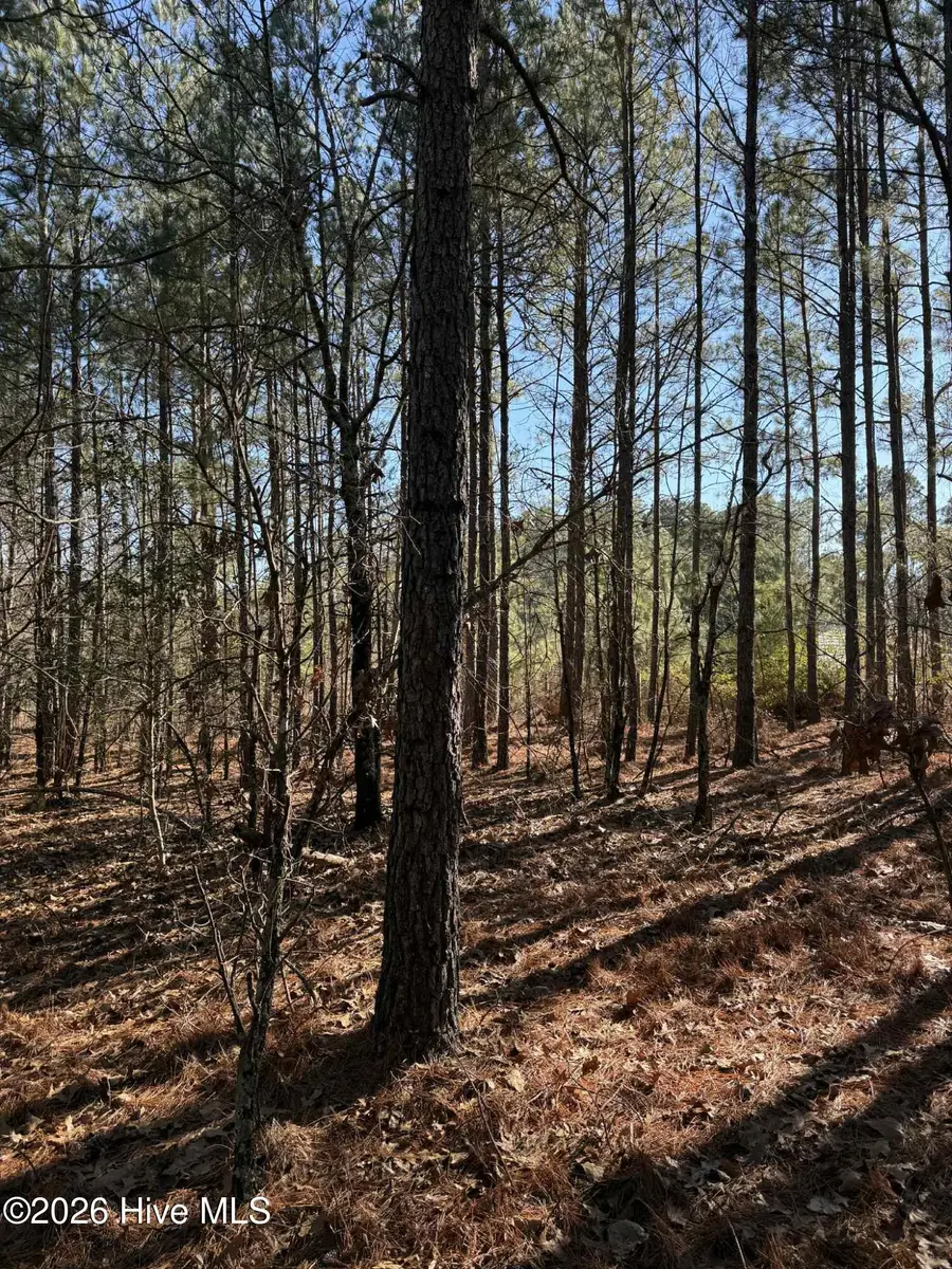 257 Lakeview Lane, Cameron, NC 28326 - #2