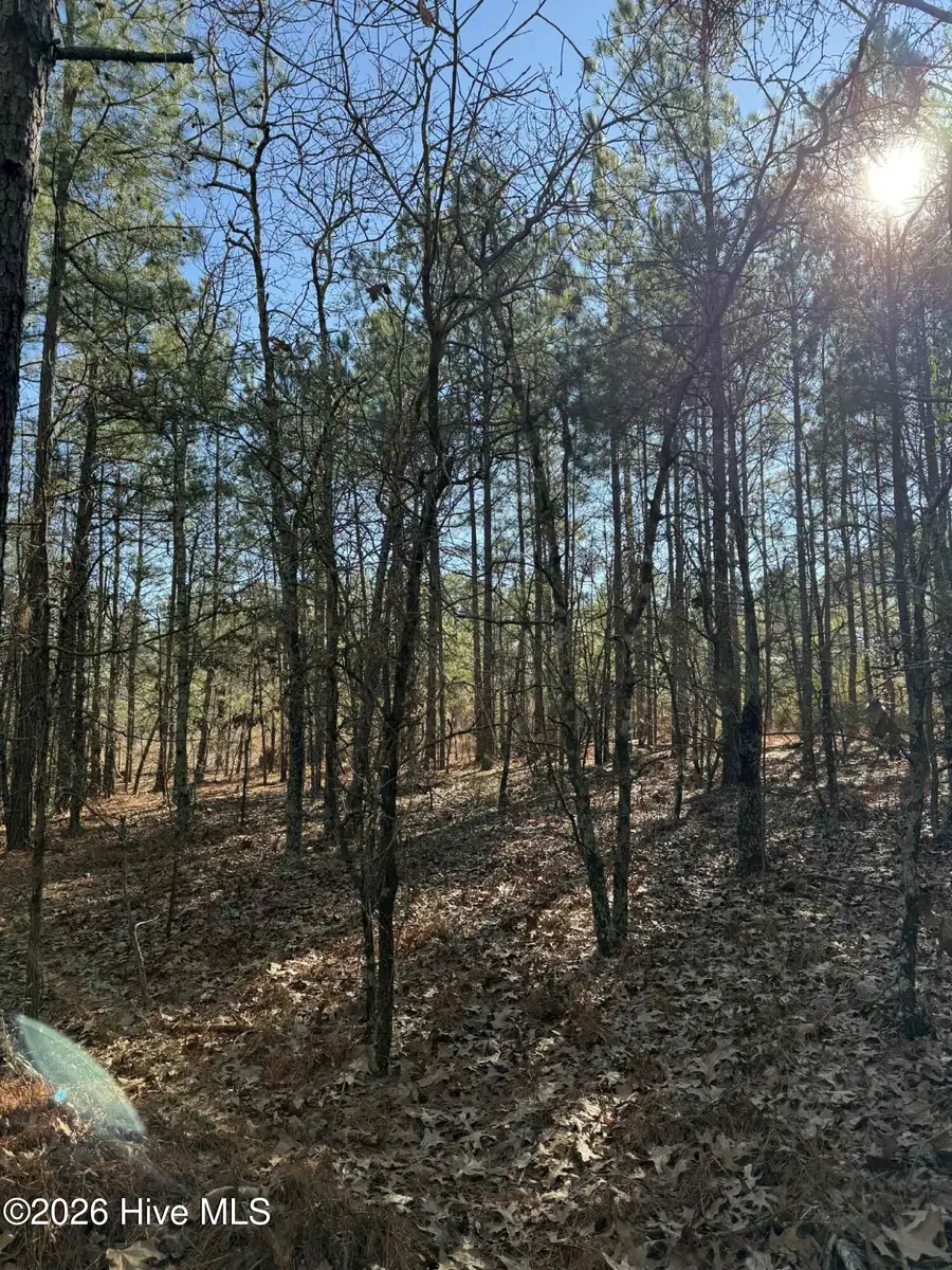 257 Lakeview Lane, Cameron, NC 28326 - #3