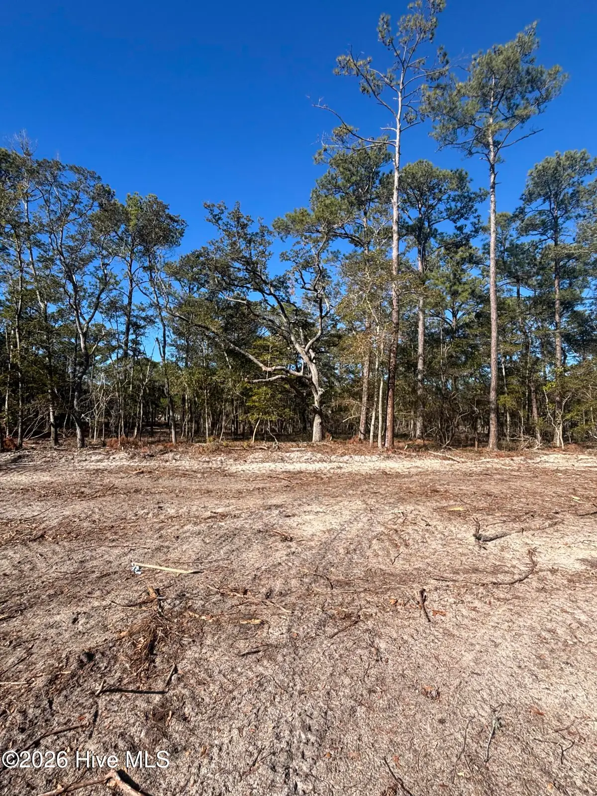 Lot 48 Peninsula Parkway, Southport, NC 28461 - Image #1