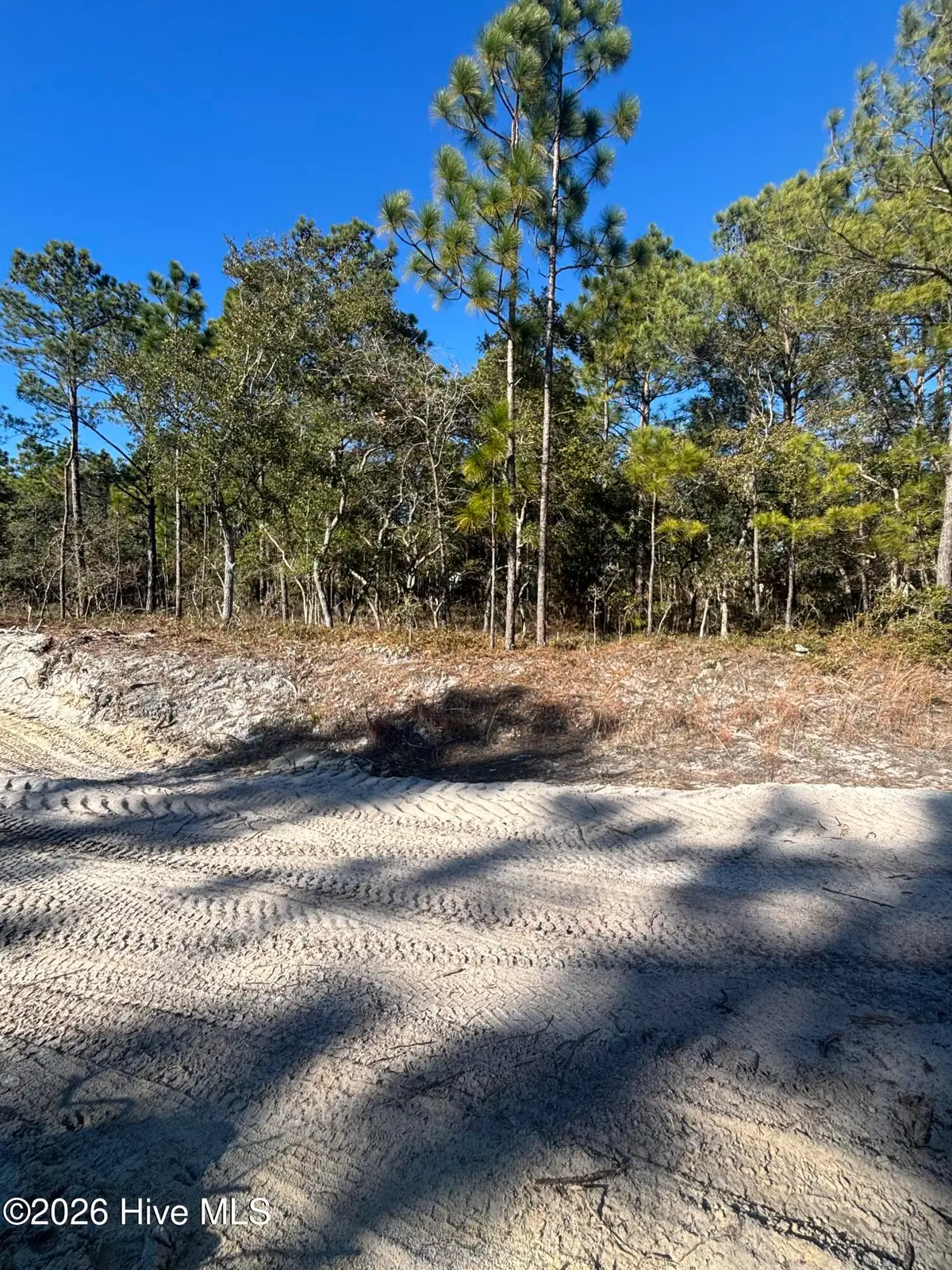 Lot 221 Starling Break Road, Southport, NC 28461 - Image #1