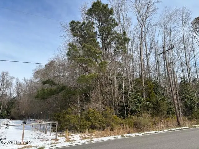 225 Hermitage Road, Castle Hayne, NC 28429 - #2