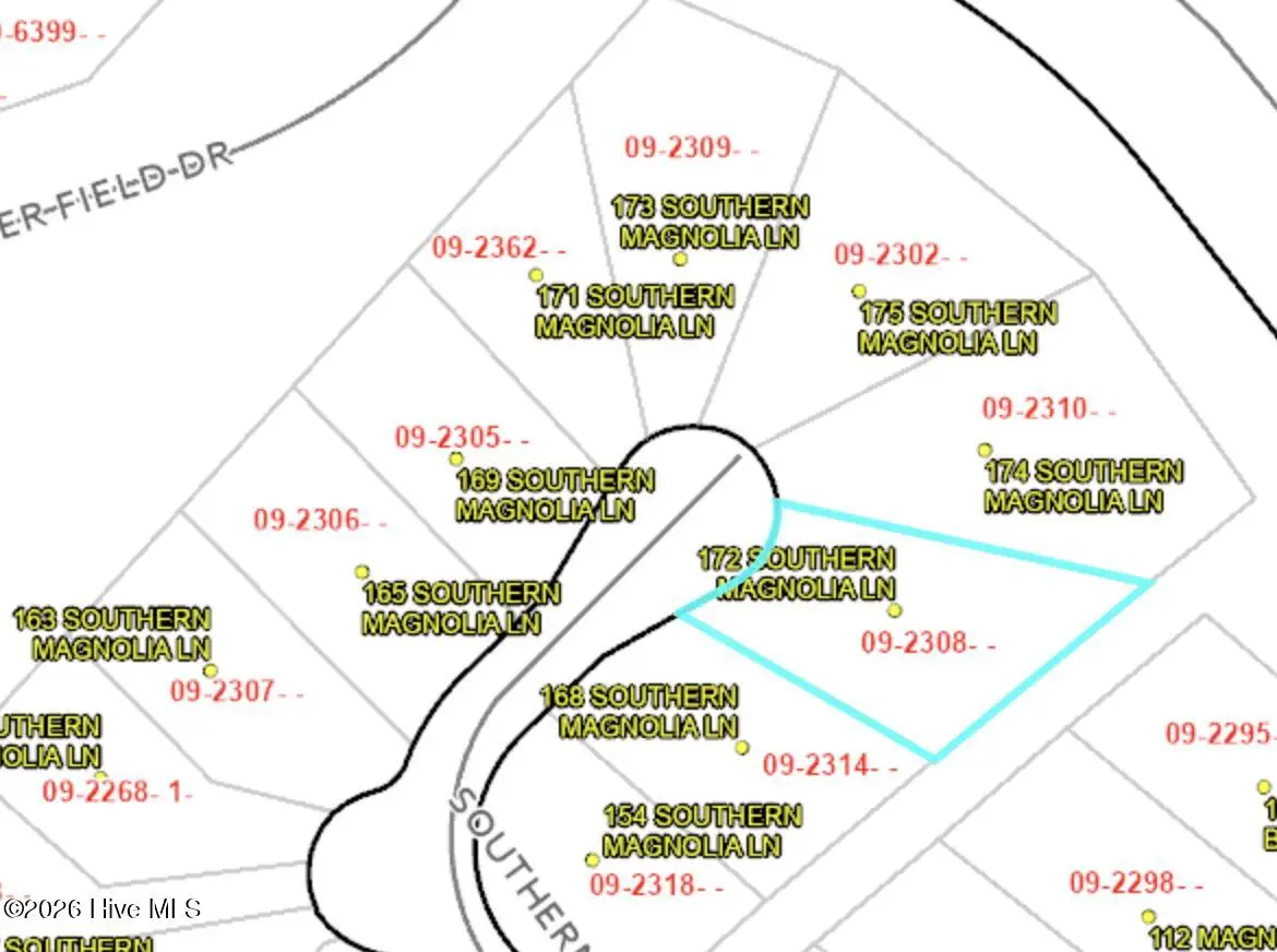 172 Southern Magnolia Lane, Wallace, NC 28466 - #1