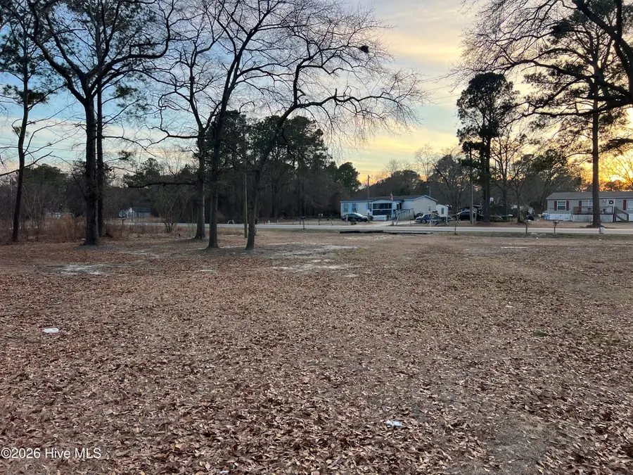 100 Hopesway Drive, Dudley, NC 28333 - #2