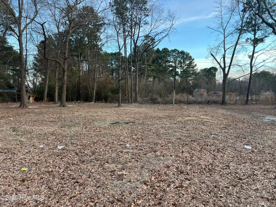 100 Hopesway Drive, Dudley, NC 28333 - #3