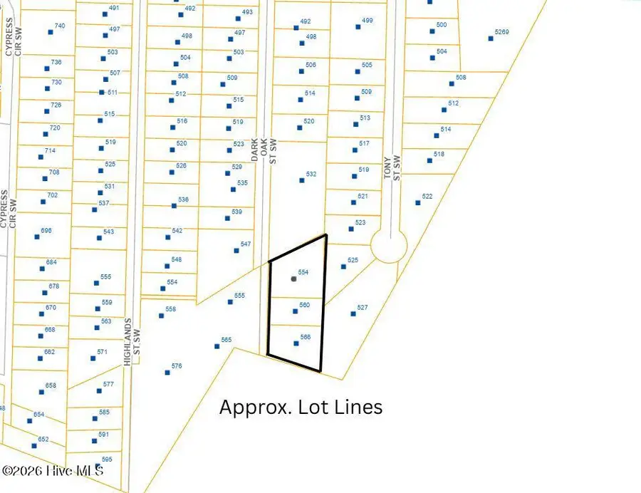 554 Dark Oak Street Sw, Shallotte, NC 28470 - #3