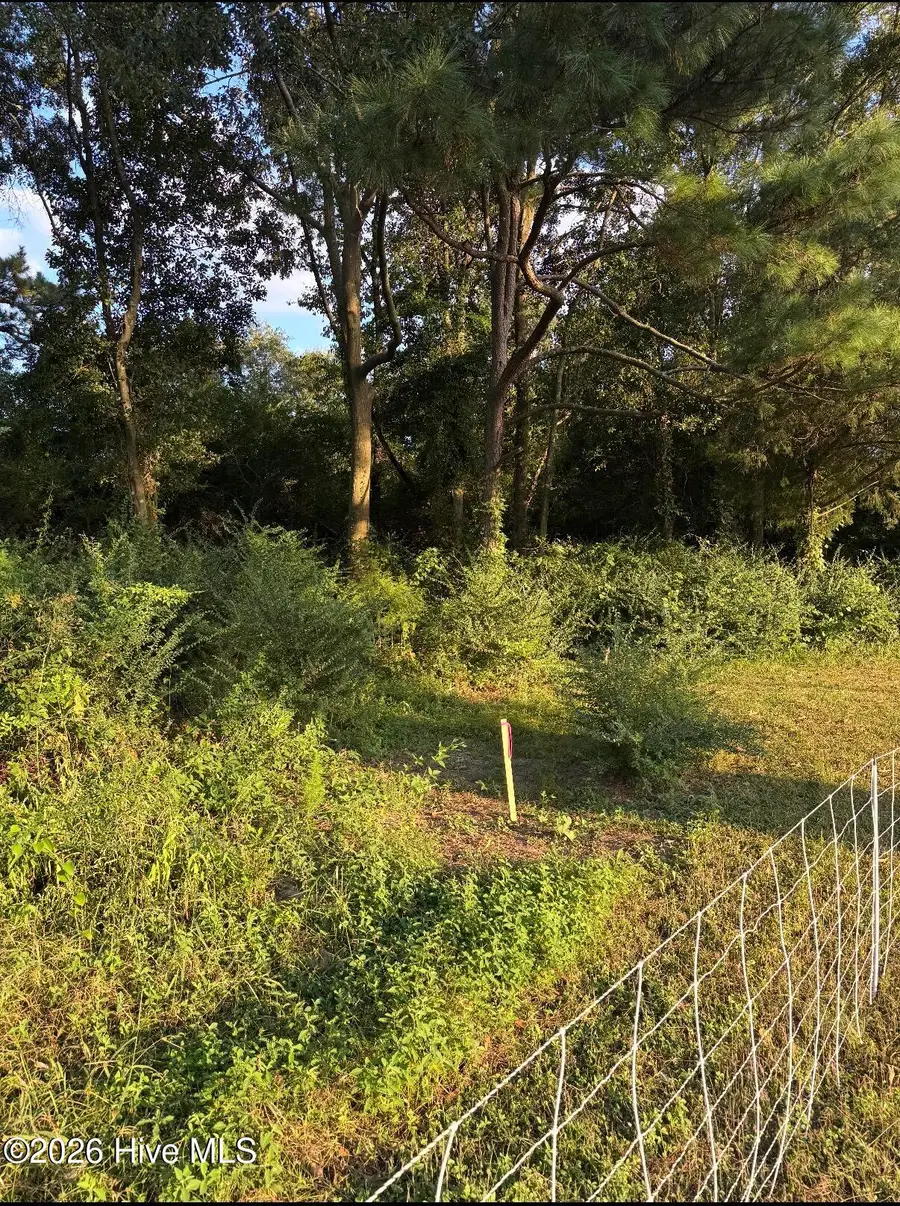 Tbd Firehouse Road, Chinquapin, NC 28521 - #3