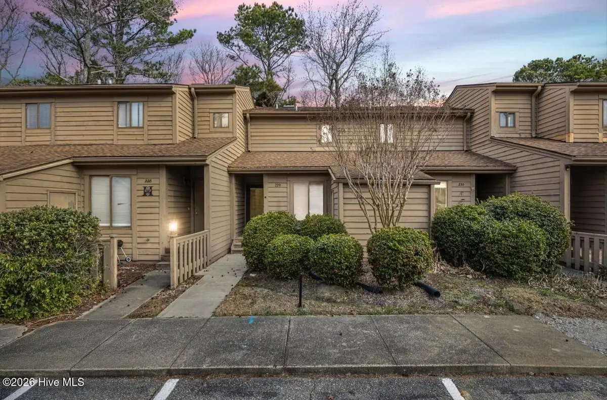 229 Saint Luke Court, Wilmington, NC 28409 - #1