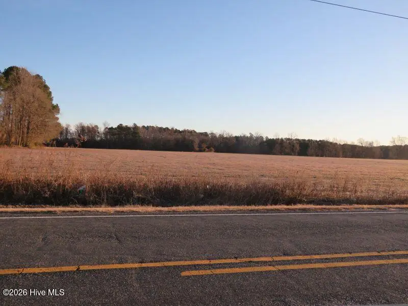 Tract 3 E Raynham Road, Fairmont, NC 28340 - #3