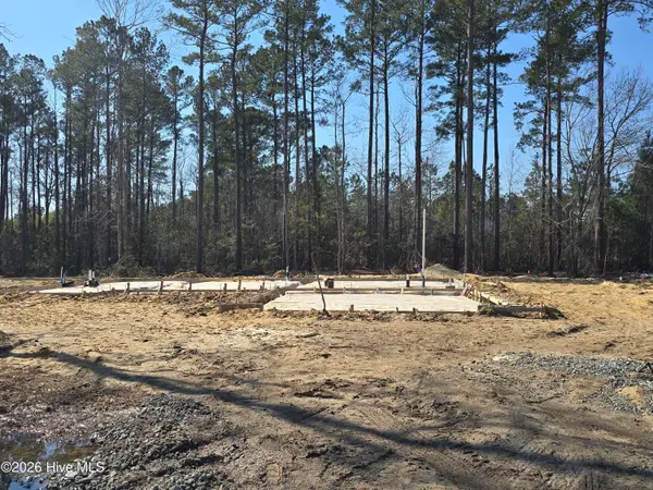 100 Palm Circle, Havelock, NC 28532