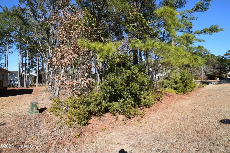 917 Sea Holly Court, New Bern, NC 28560 - #2