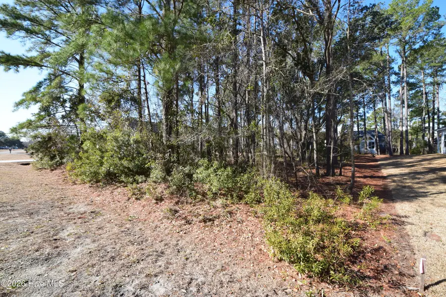 917 Sea Holly Court, New Bern, NC 28560 - #3