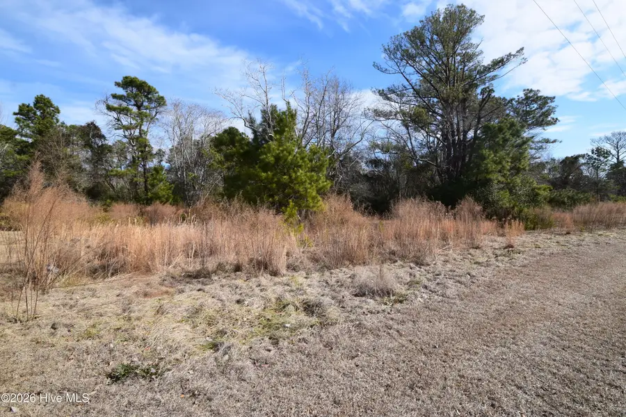 1616 Caracara Drive, New Bern, NC 28560 - #2