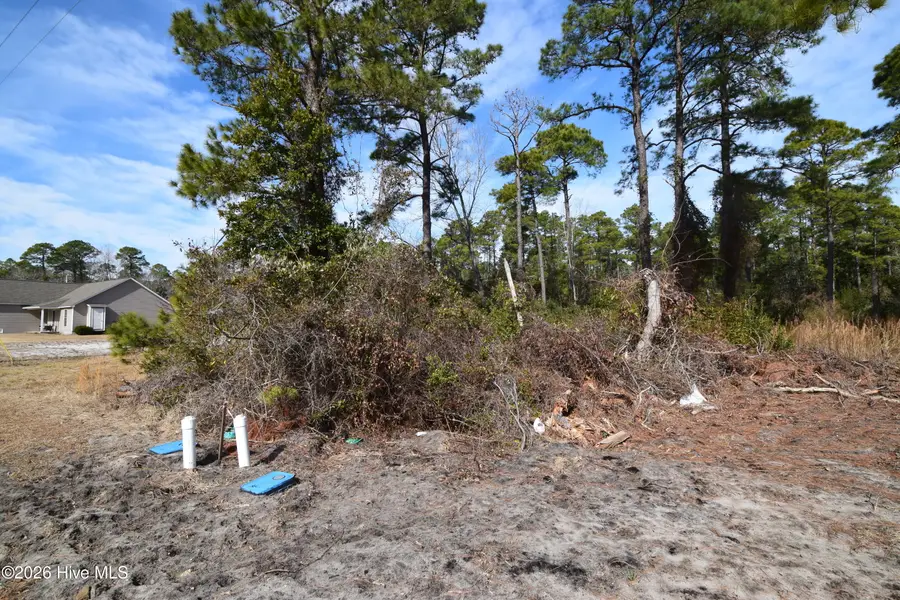 2202 Caracara Drive, New Bern, NC 28560 - #3