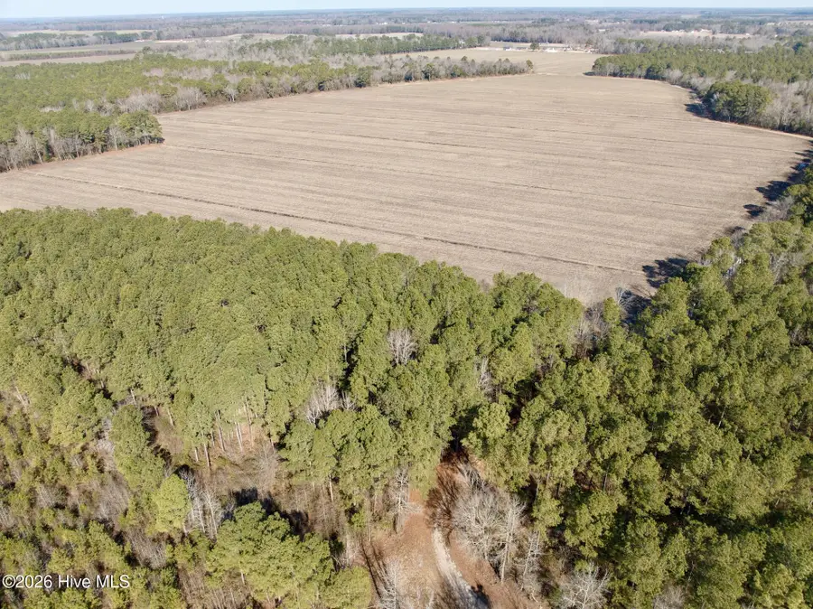 0 Sandy Ridge Road, Tyner, NC 27980 - #2