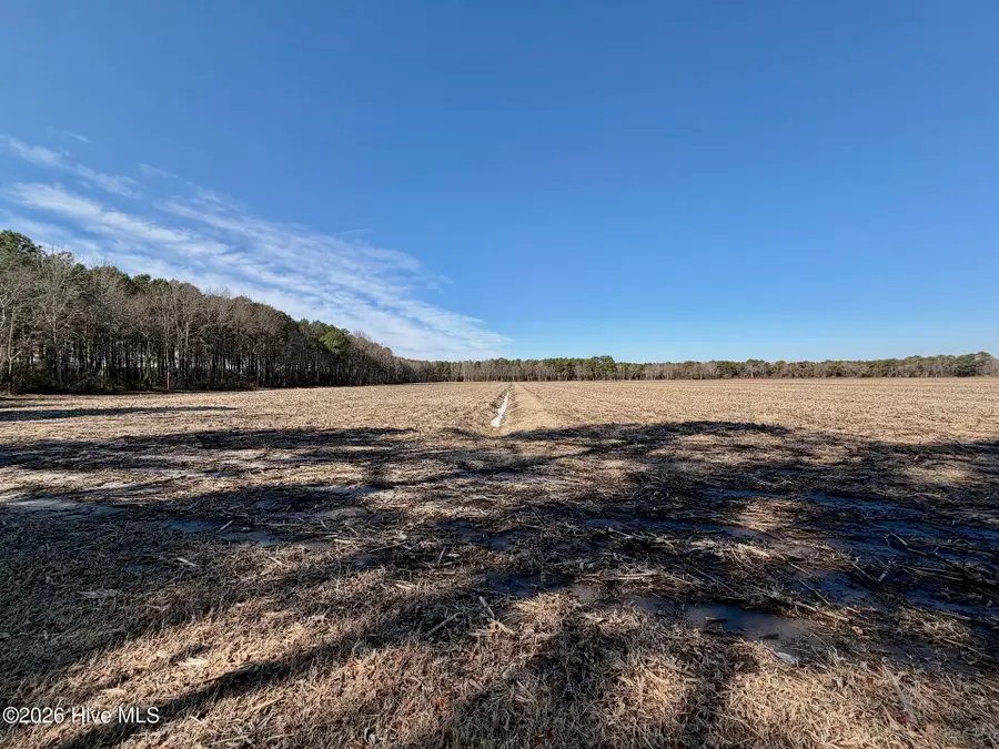 0 Sandy Ridge Road, Tyner, NC 27980 - #3